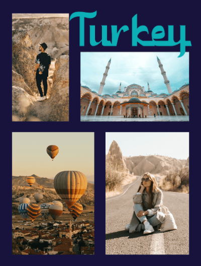 turkey