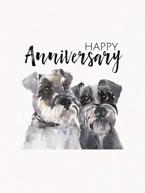 2021 wedding joscott anniversary
