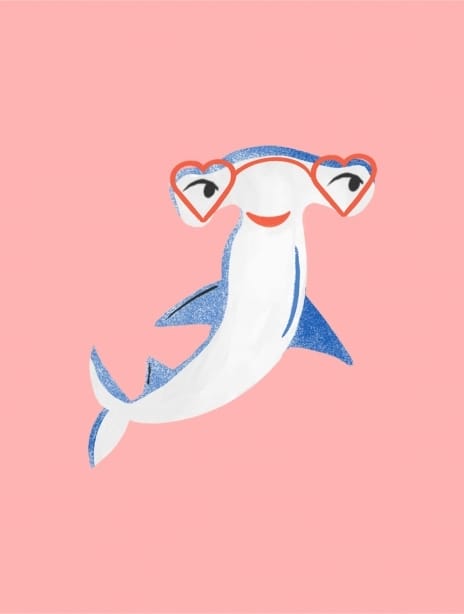 2022 pattern catalinawilliams shark