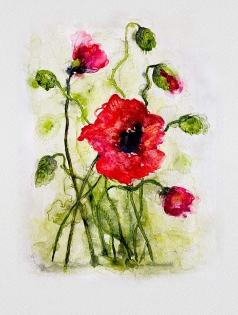 2022 pattern justinahkay poppies