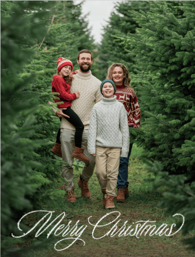 2025 christmas frame 110