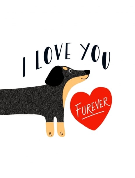 2022 valentine dog