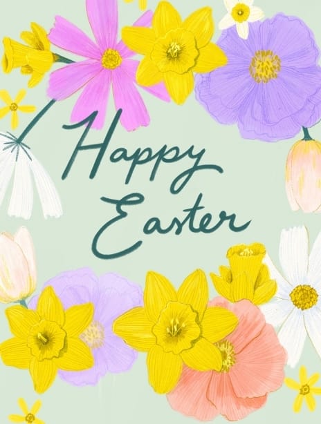 easter card daffodils