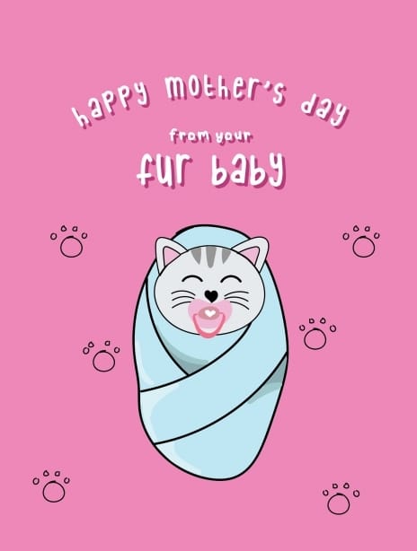 2025 mother'sday lauralonsdale cat