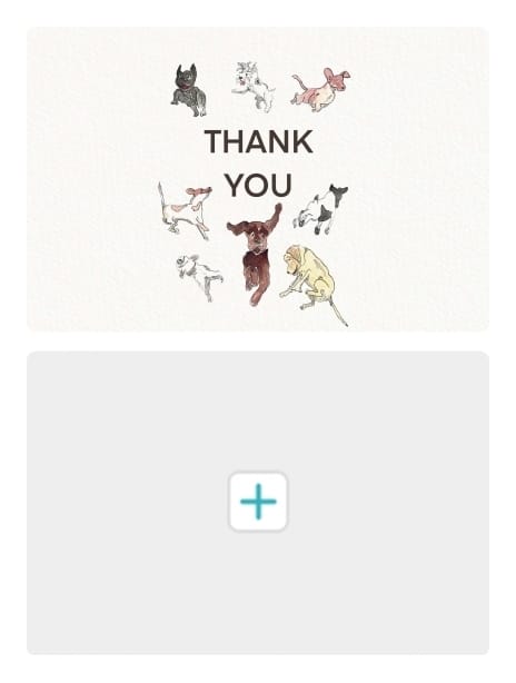 2021 thankyou joscott thankyoudogs