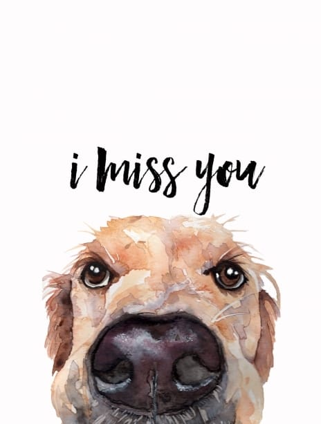 2021 miss you 5