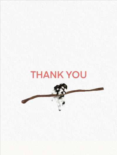 2021 thankyou joscott dog1