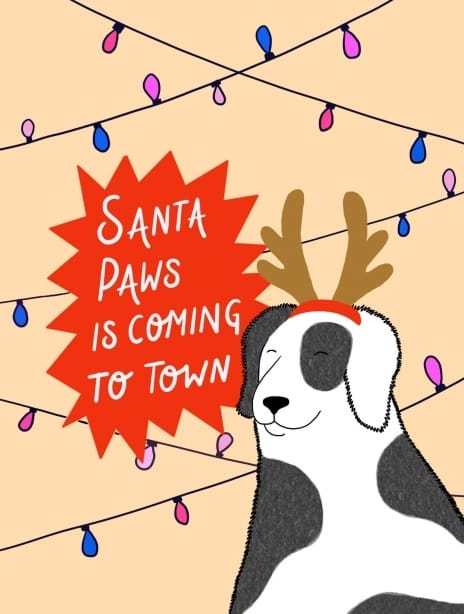 2021 christmas kaytrain dog2