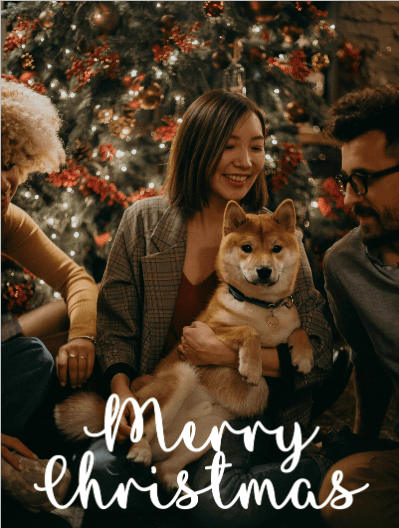 2025 christmas overlay 12