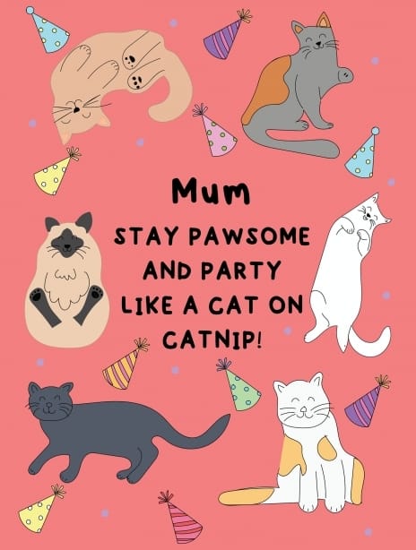 2025 birthday lauralonsdale cat mum
