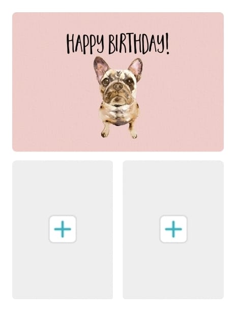 2021 birthday joscott frenchie