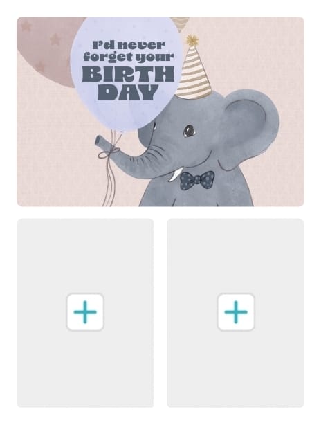 2024 birthday jenna elephant2