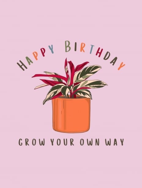 2023 birthday bruna plants