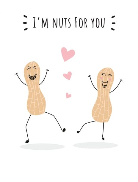 2025 anniversary lauralonsdale nuts