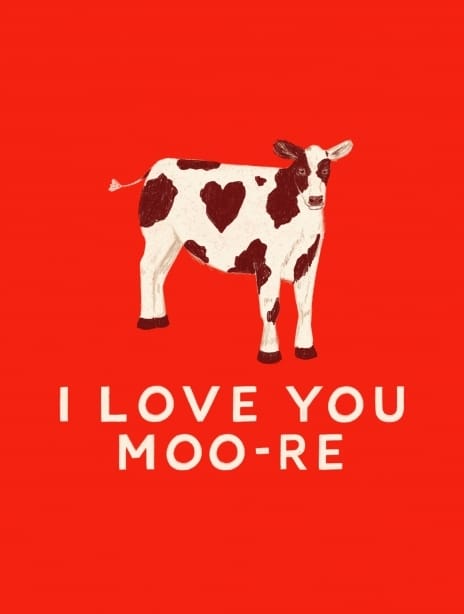 2022 valentine hannahbottino cow