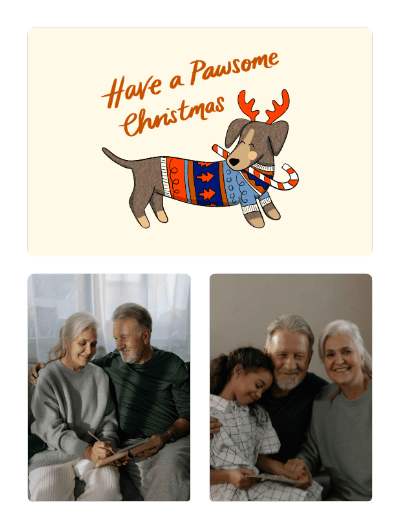 2024 christmas kaytrain pet