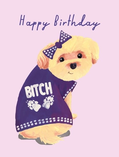 2025 birthday holly dog bitch