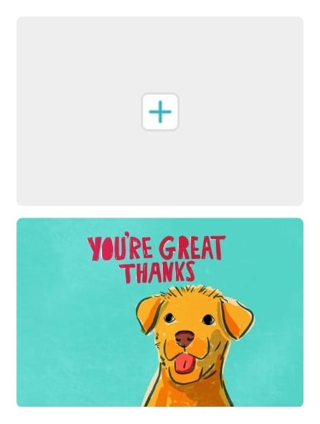 2021 thank you alisonwatson dog thanks