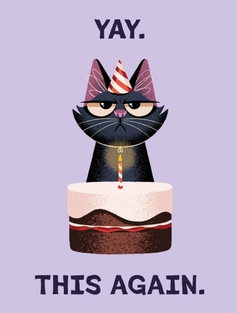 2025 birthday ianowen grumpycat