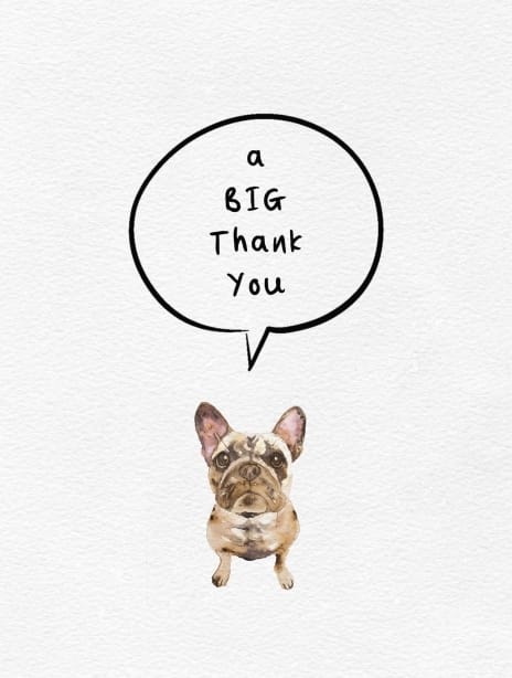 2021 thankyou joscott bigthankyoudog