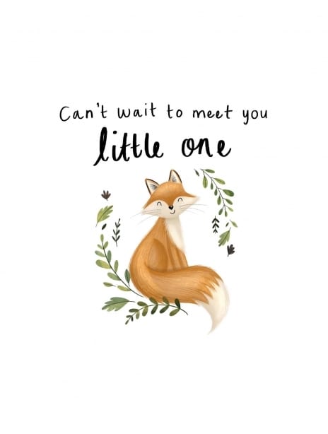 2022 baby chloe can'twaittoseeyou1