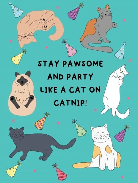 2025 birthday lauralonsdale catnip