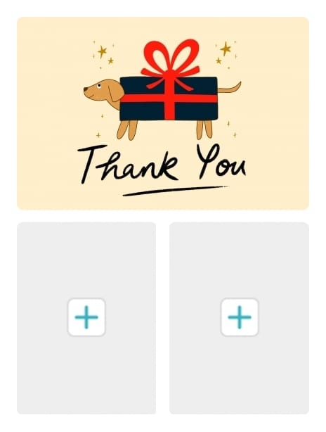 2023 thankyou kaytrain dog