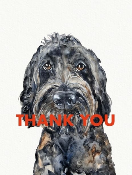 2021 thankyou joscott dog4