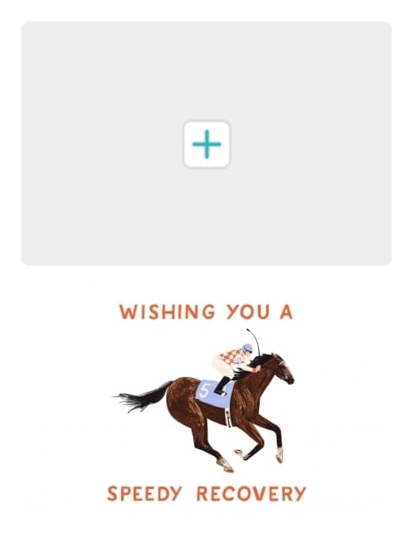 2021 getwellsoon horse getwellsoon