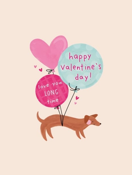 2024 valentine sorcha dog2