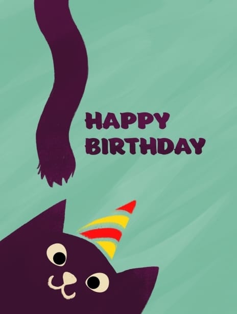 2024 birthday todd cat