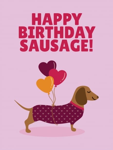 2025 birthday emma dog2