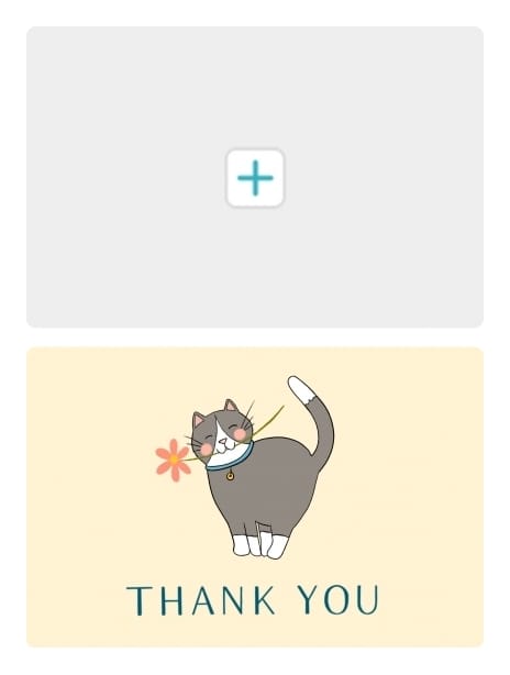 2024 thankyou kaytrain cat1