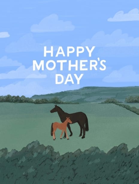 2023 mother'sday hannahbottino horse 4