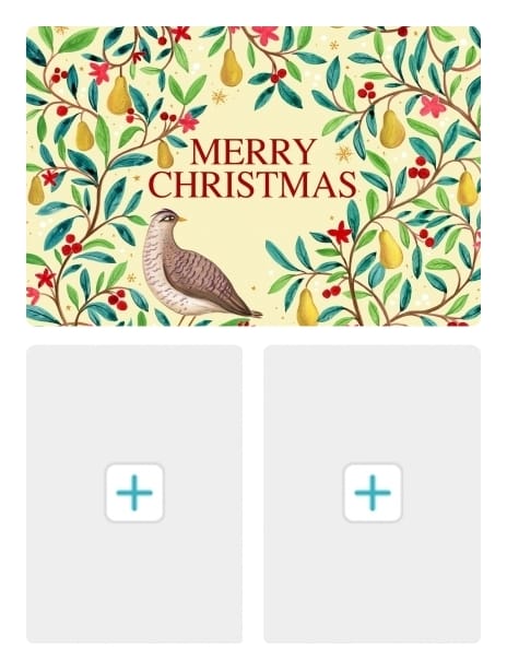 2023 christmas siya bird