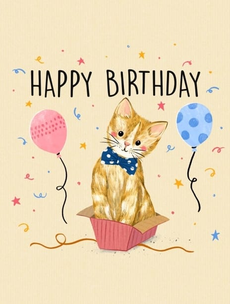 2024 birthday siya cat1