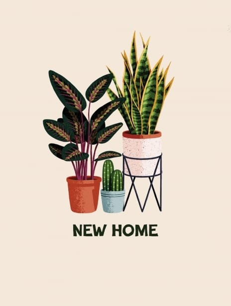 2024 newhome ianowen plants