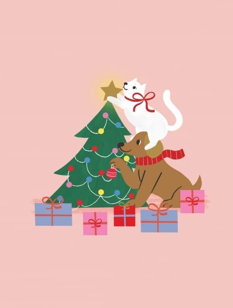 2022 christmas catalinawilliams pets