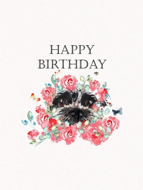2021 birthday joscott labradoodle