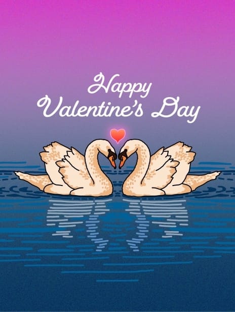 2022 valentine clairehuntley swan