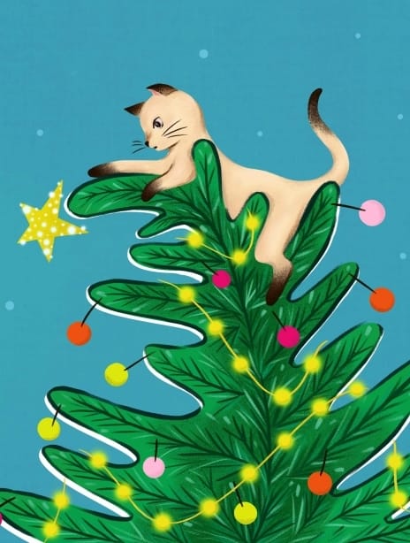 2024 christmas siya cat