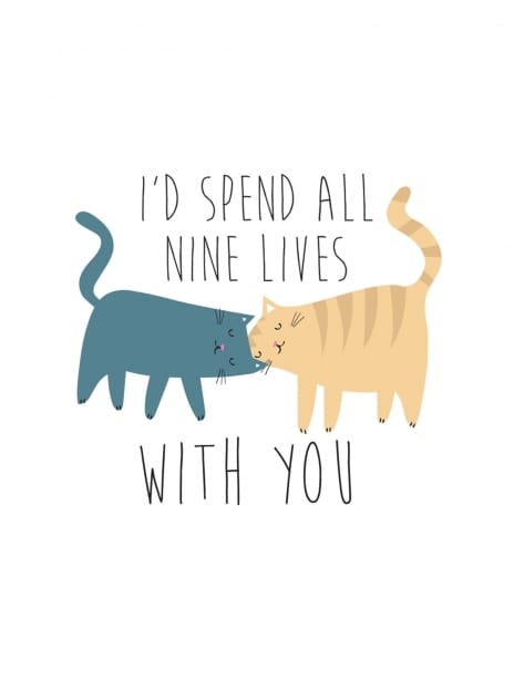 2022 love jessicaeyre cats