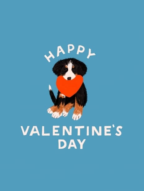 2024 valentines hannahbottino dog