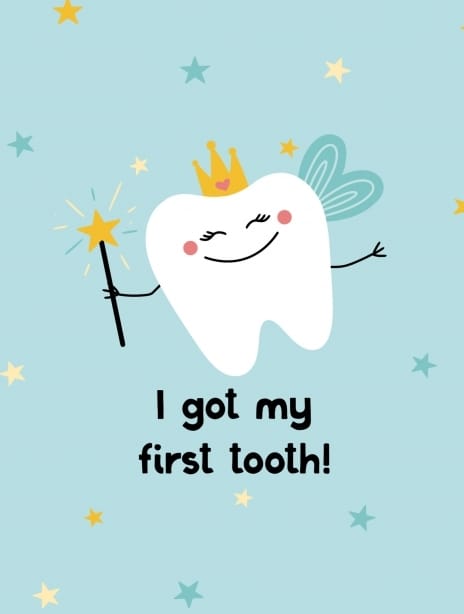 2024 newbaby yvonne tooth