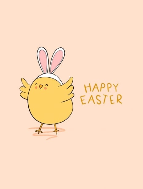 2025 easter kaytrain chick2