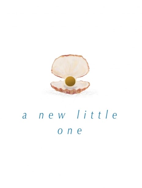 2023 newbaby abby seashell