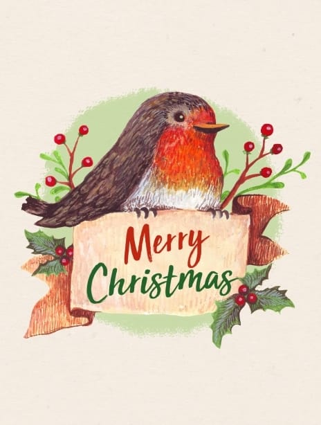2019 christmas merrychristmas bird