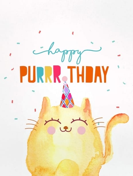 birthday 2021 137