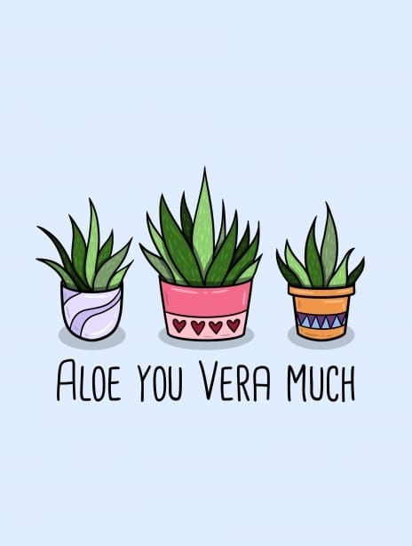 2024 valentine yvonne alovera