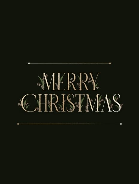 2023 christmas erinwilson merrychristmas